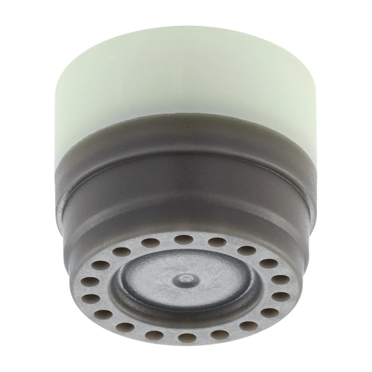 RCM basic Spray TT 1.9L max